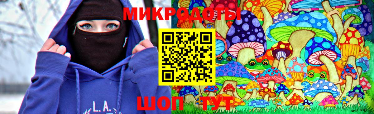 Котовск  Псилоцибиновые грибы Magic Shrooms  Вход с VPN 