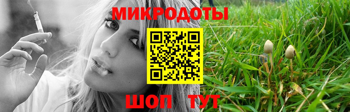 Псилоцибиновые грибы Psilocybe Котовск