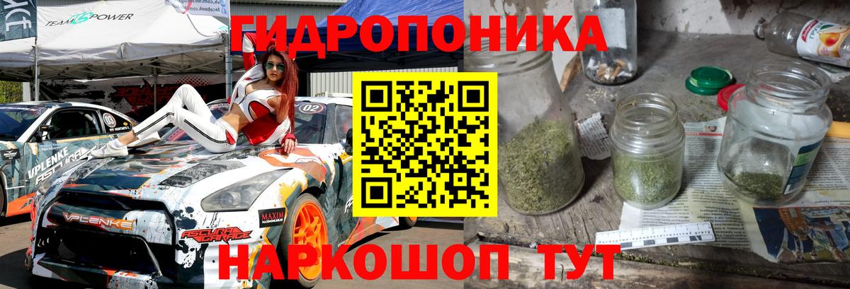 Бошки Шишки MAZAR Котовск